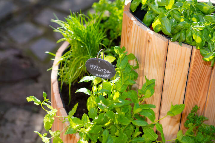 WESTMANN Kräuterspirale Luise